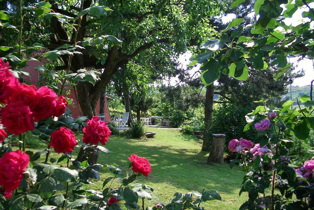 Hazelnut Valley Гуарене Номер фото